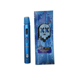 Packman disposable carts empty 2 gram disposable vape pen 380mah rechargeable battery with packaging