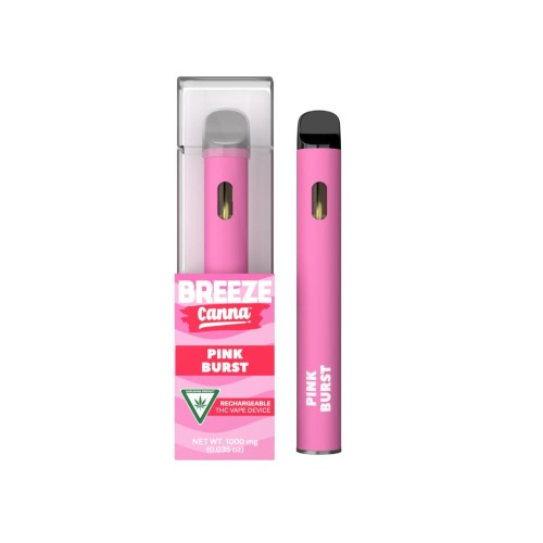 Breeze disposable vape pen empty disposables e cigarettes pods device 380mah rechargeable battery empty vapes pen 1ml vaporizer with packaging